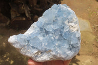 Natural Celestite Cluster x 1 From Sakoany, Madagascar