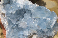 Natural Celestite Cluster x 1 From Sakoany, Madagascar