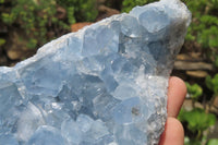 Natural Celestite Cluster x 1 From Sakoany, Madagascar