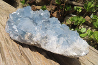 Natural Celestite Cluster x 1 From Sakoany, Madagascar