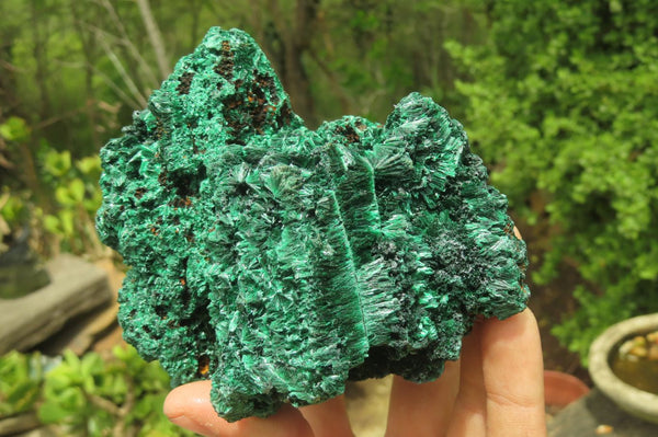 Natural Silky Malachite Specimens x 2 From Kasompe, Congo