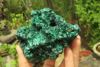 Natural Silky Malachite Specimens x 2 From Kasompe, Congo