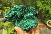 Natural Silky Malachite Specimens x 2 From Kasompe, Congo