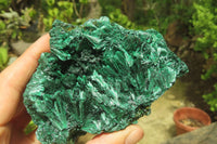 Natural Silky Malachite Specimens x 2 From Kasompe, Congo