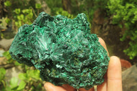 Natural Silky Malachite Specimens x 2 From Kasompe, Congo