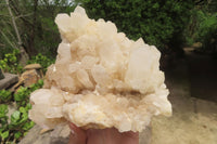 Natural White Quartz Cluster x 1 From Madagascar