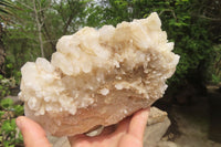 Natural White Quartz Cluster x 1 From Madagascar