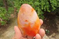 Polished Carnelian Standing Free Forms x 4 From Madagascar