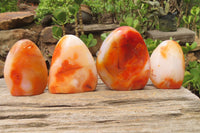 Polished Carnelian Standing Free Forms x 4 From Madagascar