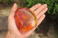 Polished Carnelian Standing Free Forms x 4 From Madagascar