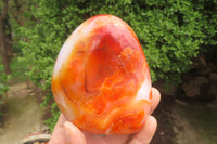 Polished Carnelian Standing Free Forms x 4 From Madagascar