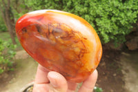 Polished Carnelian Standing Free Forms x 4 From Madagascar