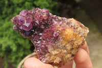 Natural Amethystos Amethyst Specimens x 12 From Kwaggafontein, South Africa