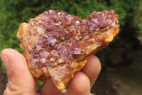 Natural Amethystos Amethyst Specimens x 12 From Kwaggafontein, South Africa