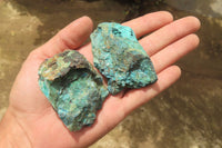 Natural Shattuckite with Chrysocolla & Malachite Specimens x 24 from Kaokoveld, Namibia