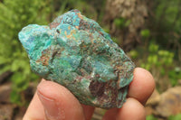 Natural Shattuckite with Chrysocolla & Malachite Specimens x 24 from Kaokoveld, Namibia