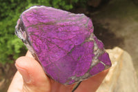 Polished On One Side Metallic Purpurite Specimens x 6 From Namibia