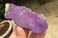 Polished On One Side Metallic Purpurite Specimens x 6 From Namibia