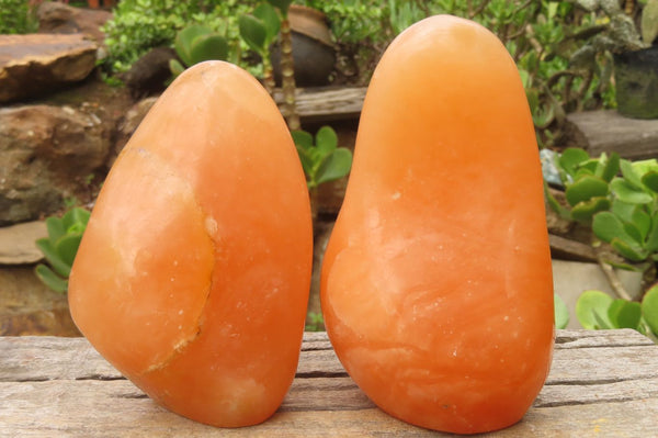 Polished Orange Twist Calcite Standing Free Forms x 2 From Madagascar