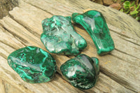 Polished Flower Banded Malachite Free Forms x 4 From Congo