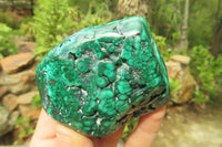 Polished Flower Banded Malachite Free Forms x 4 From Congo