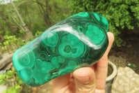 Polished Flower Banded Malachite Free Forms x 4 From Congo