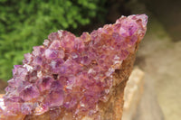 Natural Amethystos Amethyst Specimens x 12 From Kwaggafontein, South Africa