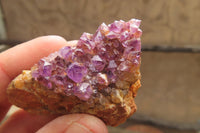 Natural Amethystos Amethyst Specimens x 12 From Kwaggafontein, South Africa