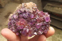 Natural Amethystos Amethyst Specimens x 12 From Kwaggafontein, South Africa