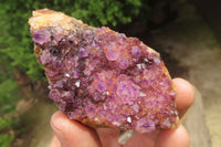 Natural Amethystos Amethyst Specimens x 12 From Kwaggafontein, South Africa