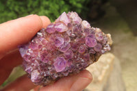 Natural Amethystos Amethyst Specimens x 12 From Kwaggafontein, South Africa