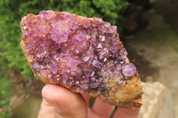 Natural Amethystos Amethyst Specimens x 12 From Kwaggafontein, South Africa