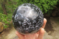 Polished Gabbro / Merlinite Sphere x 1 From Madagascar