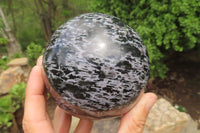 Polished Gabbro / Merlinite Sphere x 1 From Madagascar