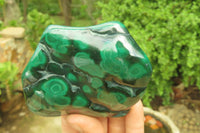 Polished Flower Banded Malachite Free Forms x 3 From Congo