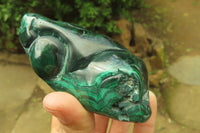 Polished Flower Banded Malachite Free Forms x 3 From Congo