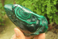 Polished Flower Banded Malachite Free Forms x 3 From Congo