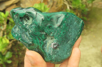 Polished Flower Banded Malachite Free Forms x 3 From Congo