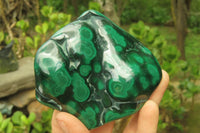 Polished Flower Banded Malachite Free Forms x 3 From Congo