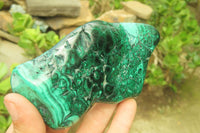 Polished Flower Banded Malachite Free Forms x 3 From Congo