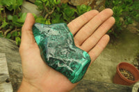 Polished Flower Banded Malachite Free Forms x 3 From Congo