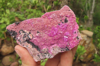 Natural Salrose Cobaltion Dolomite Specimens x 12 From Kakanda, Congo