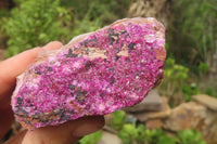 Natural Salrose Cobaltion Dolomite Specimens x 12 From Kakanda, Congo