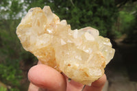 Natural Limonite Quartz Clusters x 12 From Zambia