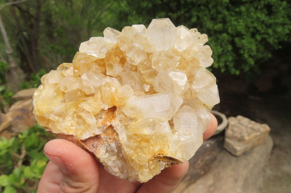 Natural Limonite Quartz Clusters x 12 From Zambia