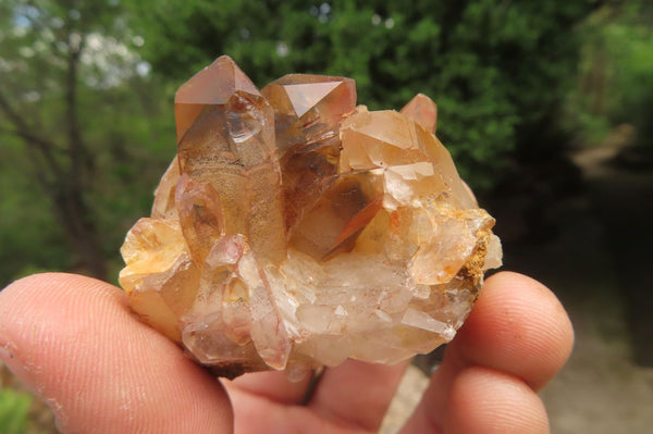 Natural Red Hematoid Quartz Clusters x 12 From Karoi, Zimbabwe