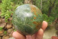 Polished Chrysoprase Spheres x 4 From Madagascar