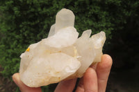 Natural Quartz Clusters x 3 From Madagascar