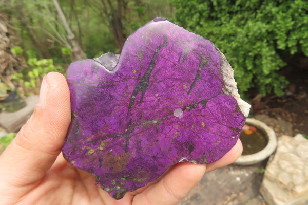 Polished On One Side Metallic Purpurite Specimens x 3 From Namibia