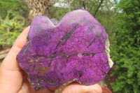 Polished On One Side Metallic Purpurite Specimens x 3 From Namibia